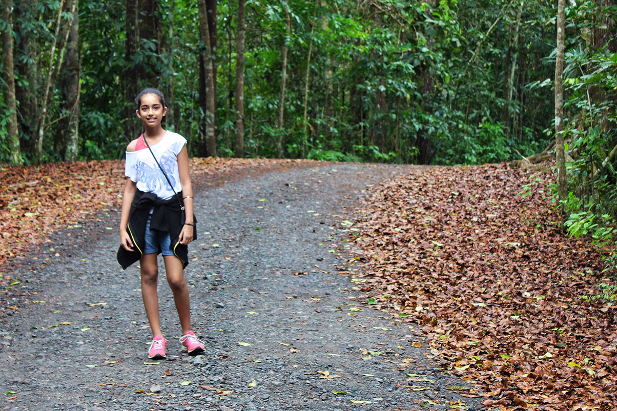 Strolling in Colo-I-Suva Forest Park