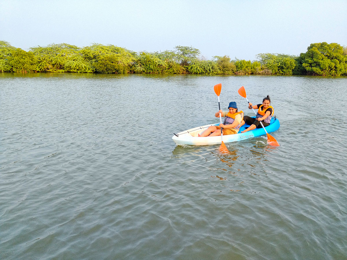 Kayaking in the mangrove forest of Tamil Nadu