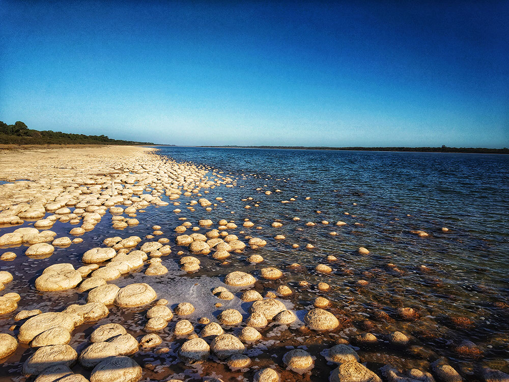 Thrombolites at Lake Clifton nera Perth in Australia.