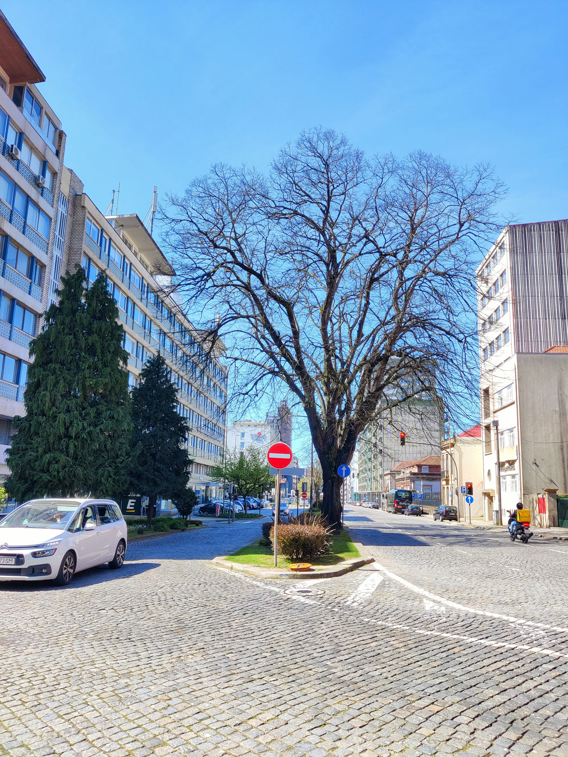 Rua de Santa Catarina, Porto's renowned shopping street