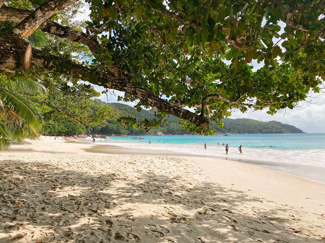 Anse Lazio Beach in Seychelles is picture-perfect