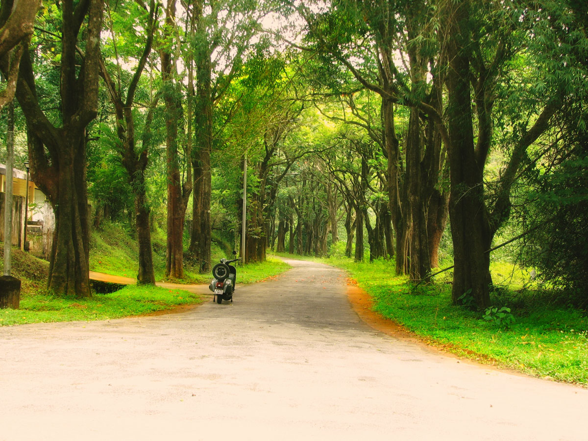 A Bajaj scooter parked in front of staff quarters built in the middle of green forests turns the clock backwards by 15 years
